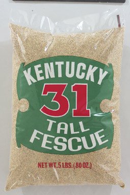 Barenbrug Kentucky 31 Tall Fescue Grass Seed 5 Lbs