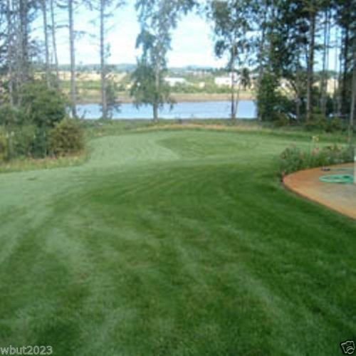 Fescue grass seed blend Combat ExtremeFor Southern Zone - USDA Zones 8 - 10