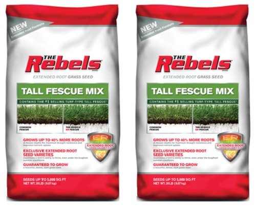 Pennington 100519431 20 lb The Rebels Tall Fescue Grass Seed Mix - Quantity 2 bags