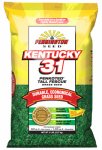 Pennington Seed 100505592 Kentucky31 Tall Fescue Grass Seed 5