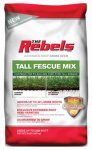 Rebel Fescue Blend Grass Seed