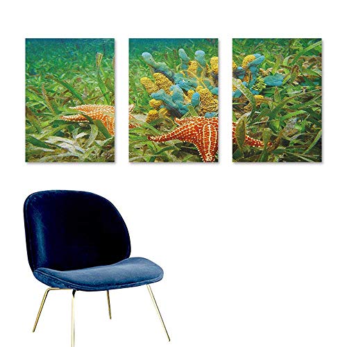 Agoza Starfish Custom Oil Painting Underwater Marine Life with Colorful Sponges and Starfish Surrounded by Seagrass Easy Care Oil Painting 3 Panels 16x24inch Multicolor