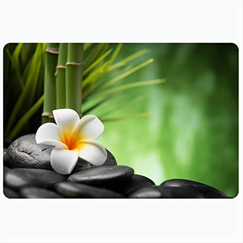 Ahawoso Indoor Bath Rug for Bathroom Non Slip Mats 16x24 Inch Grass Care Spa Healthy Concept Zen Aromatherapy Basalt Plant Flower Stones Bamboo Nature Design Bathing Shower Doormat Rubber Mat