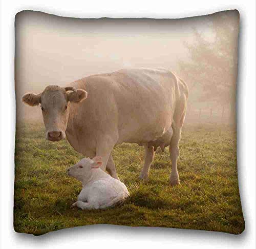 EGDE4 Decor Pillows Custom Animals Cow Calfs Grass Care Animals Zippered Body Pillow Case Cover Size 16X16