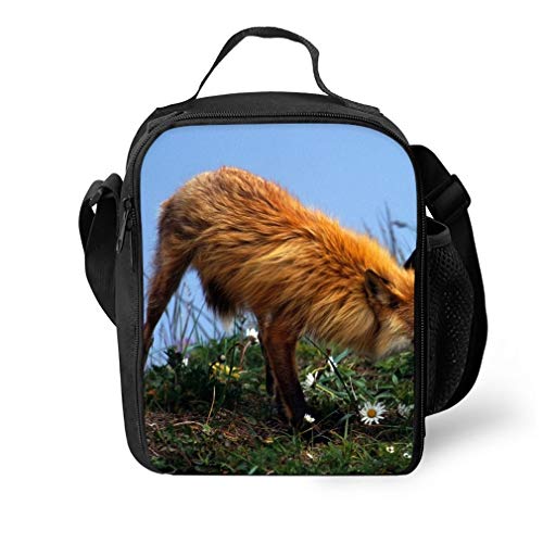 Fox 聽couple Grass Care Young Playful_02248 Lunchbox Lightweight Insulated Lunch Tote Bag