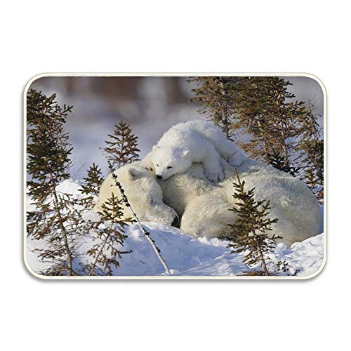 Huayuanhurug Polar Bears Family Snow Grass Care Front Door Mat Welcome Mat Welcome Rubber Non Slip Backing Bathroom Kitchen Decor Area 236X 157