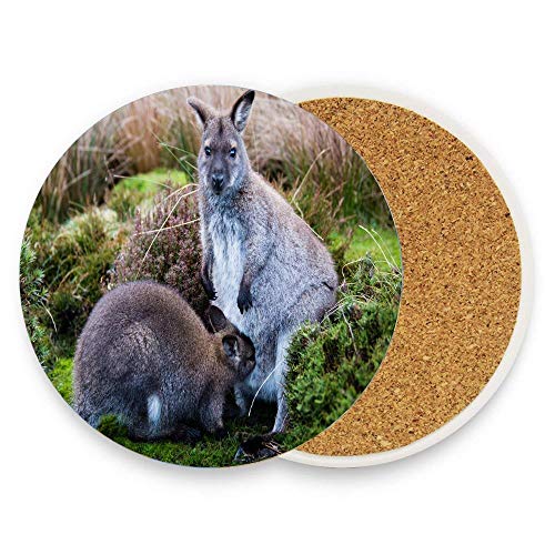 Kangaroo Baby Grass Care Animals Absorbent Stone Coaster For Drinks SET of 1 Ceramic Round Durable Perfect Gift 4 Diameter