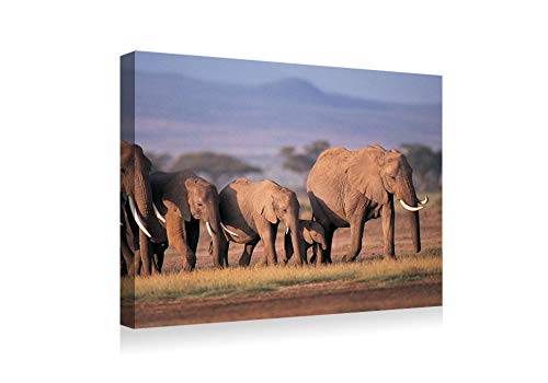 SHADENOV Canvas Prints Wall Art - Elephants Crowd Family Grass Care - Modern Home Deoration Wall Decor Printing Wrapped Stretched Canvas Art Ready to Hang 28x20 Inches