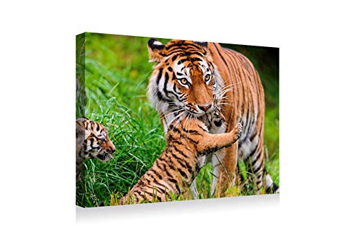 SHADENOV Canvas Prints Wall Art - Tiger Cubs Grass Care - Modern Home Deoration Wall Decor Printing Wrapped Stretched Canvas Art Ready to Hang 16x12 Inches