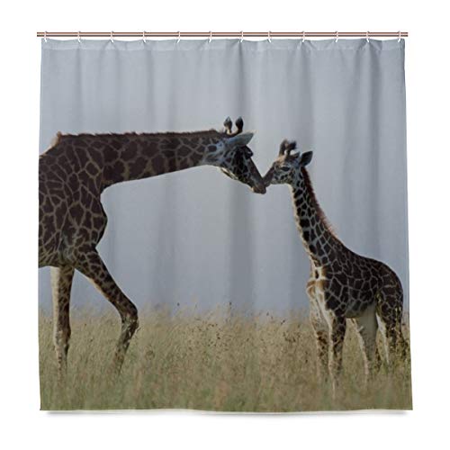 aBlackBean Giraffe Couple Grass Care Polyester Fabric Shower Curtain Bathroom Sets Home Decor 72 X 72 Inches