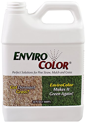 1000 Sq Ft 4evergreen Grass And Turf Paint
