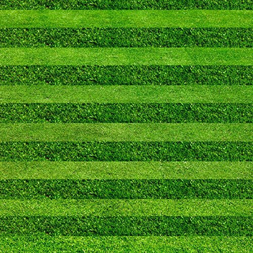 Turf Grass Seeds Golf Soccer Fields Villa Special grade Evergreen Lawn seeds 200pcs high-grade Flowers and seeds