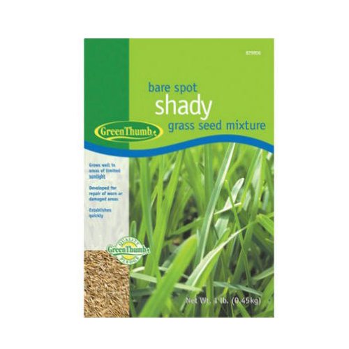 Barenbrug USA Green Thumb GT1SHD Bare Spot Shady Grass Seed Mixture 1-Pound