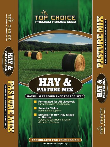 Top Choice 17646 Hay And Pasture Grass Seed Mixture 25-pound