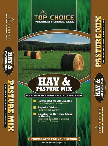 Top Choice 17646 Hay And Pasture Grass Seed Mixture 25-pound