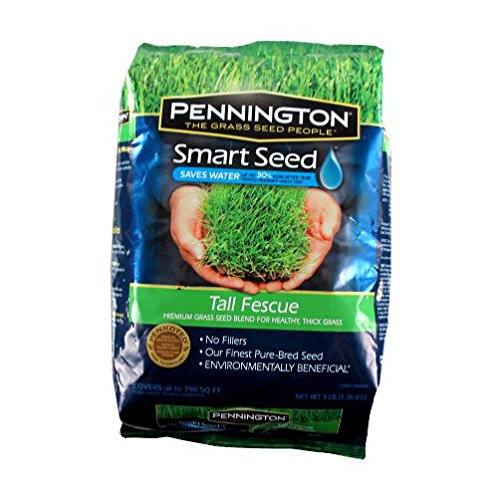 3 lb Tall Fescue Grass Seed