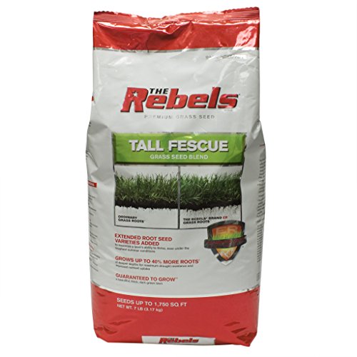 Pennington 100081770 The Rebels Tall Fescue Grass Seed 7-pound