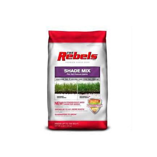 Pennington 100081775 The Rebels Tall Fescue Shade Grass Seed Mix 3-pound
