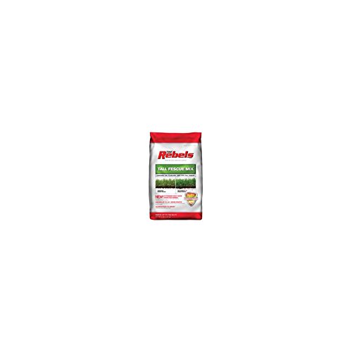 Pennington Seed 3lb Rebel Fescue Seed