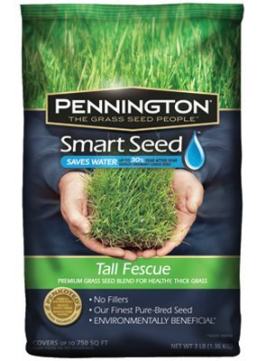 Pennington Seed Smart Seed Tall Fescue Premium Grass Seed Blend 750 Sq Ft Bagged 3 Lb