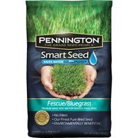 Pennington Smart Seed Fescuebluegrass Mix 3 Lb