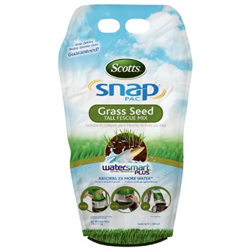 Scotts Snap Pac Tall Fescue Grass Seed