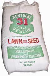 The Dirty Gardener Kentucky 31 Tall Fescue Grass Seed - 25 Pounds