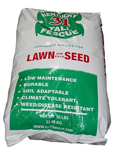 The Dirty Gardener Kentucky 31 Tall Fescue Grass Seed - 50 Pounds