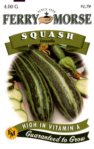 Ferry-morse Seeds 1369 Squash - Cocozelle Long Type 4 Gram Packet