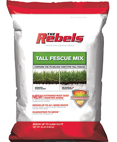 Pennington Seed 100081773 Rebels Turf Type Tall Fescue Mix 20 Lbs