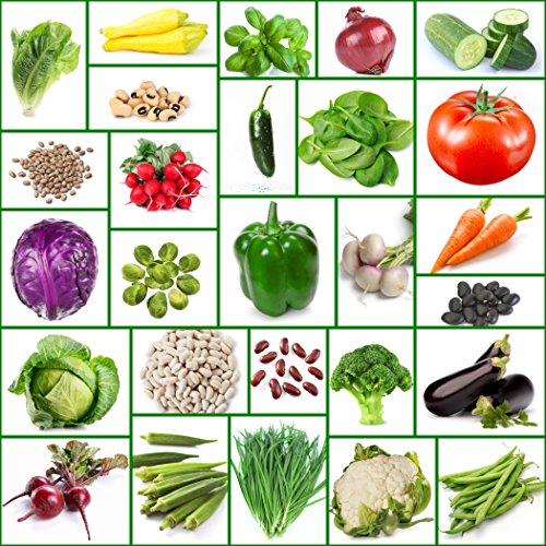 Vegetable Seeds-high Protein 6 Different Types Of Beans-heirloom Seeds-27 Varieties