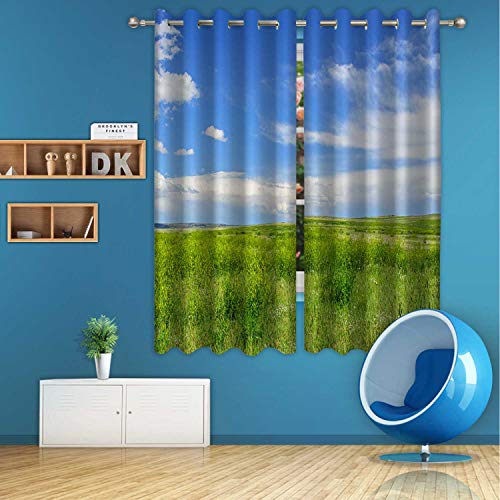 ALUONI Short Grass Prairie Digital Art Print Polyester Window Curtains173957 for Bedroom55 inch Wide x 45 inch high