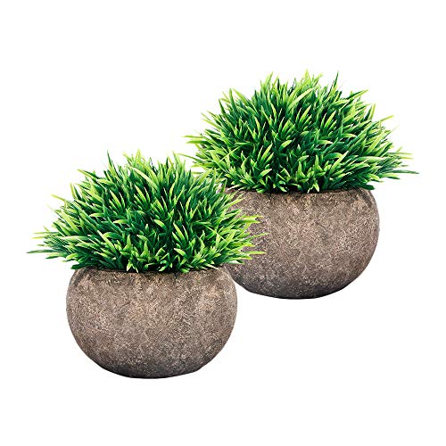 AZXAZ 2 Pack Artificial Plants in Pot Newest Faux FlowerGreen Grass Mini Round Planter Lifelike for Outdoor and Indoor WeddingOfficeHome Decoration Short Grass
