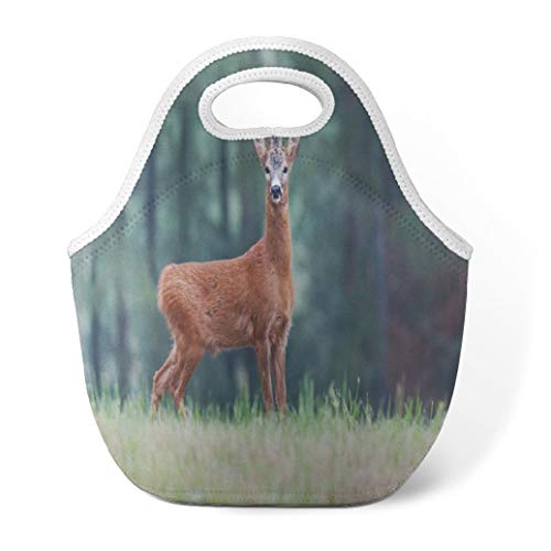 Animals Lunch Bag Insulated Lunch Bag Deer Buck Meadow Wild Animal with Short Grass and Neoprene Lunch Bag Large Lunch Bag for Women Men Teen Kids Meadow Grass