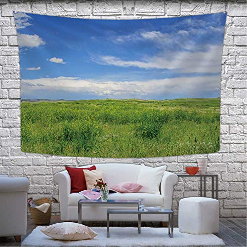 Hitecera Short Grass Prairie Tapestry Wall Hanging173957 Wall Art for Living Room Dorm Decor787W x 591H