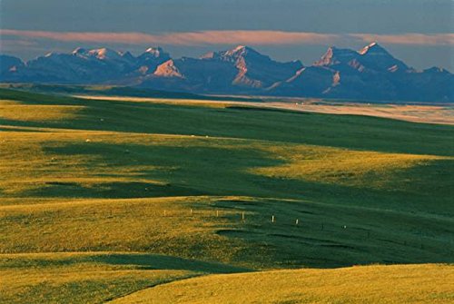 Imagekind Wall Art Print entitled Short Grass Prairie And Rocky Mountains From Head- by Design Pics  32 x 21