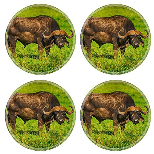 MSD Natural Round Drink Coaster set of 4 Image ID Male cape buffalos standing in short grass Image 34700099 Stain Re