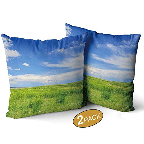 Nine City Short Grass PrairiePillow Covers Super Soft Pack of 2 Square Throw Pillow for Couch Sofa Cushion Covers 14 X 14