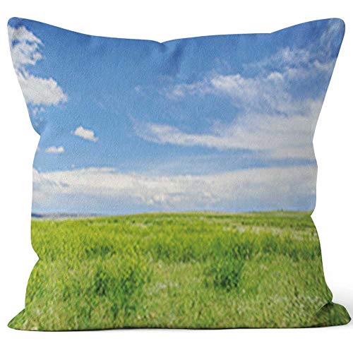 Nine City Short Grass Prairie Throw Pillow Cushion CoverHD Printing Decorative Square Accent Pillow Case16 W by 16 L