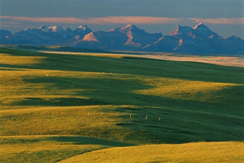 Posterazzi Short Grass Prairie And Rocky Mountains From Head-Smashed-In Buffalo Jump Alberta Poster Print 36 x 24