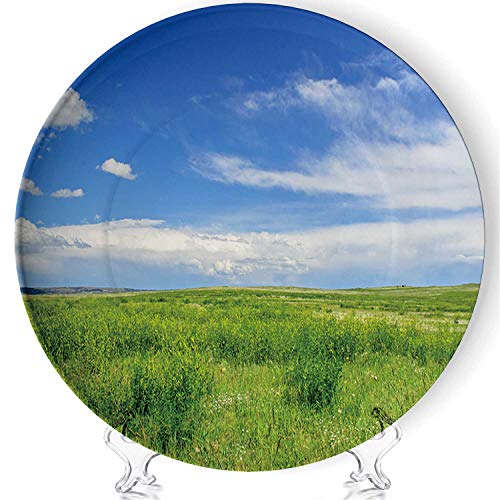 Short Grass Prairie Art Home Ceramic Decorative Plate Collectible Display Plate Craftswith Standfor Living Room of The Home6