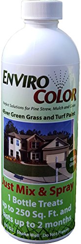 250 Sq Ft 4Ever Green Grass and Turf Paint