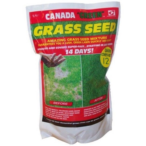 Canada Green Grass Seed - 12 Pounds