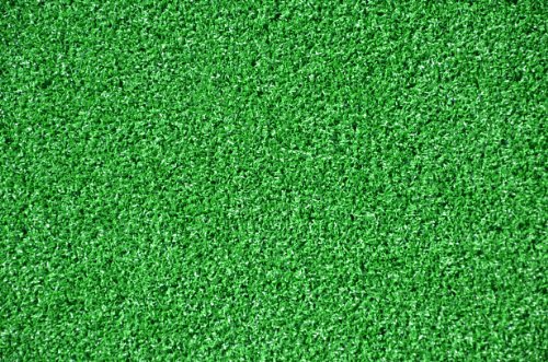 Dean Premium Heavy Duty Indooroutdoor Green Artificial Grass Turf Carpet Rugputting Greendog Mat Size 6