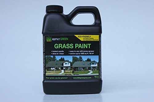 KEEPN IT GREEN GRASS PAINT 17 OZ COVERS UPTO 1000SQFT-92M2