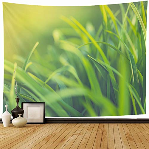Ahawoso Tapestry Wall Hanging 60x50 Inch On Concept Blurry Closeup Nature Sunset Green Beauty Focus Blurred Soft Grass Meadow Abstract Lawn Tapestries Wall Blanket Dorm Decor for Living Room Bedroom