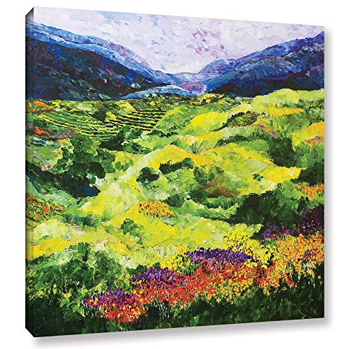 ArtWall Allan Friedlander Soft Grass Gallery-Wrapped Canvas 24x24