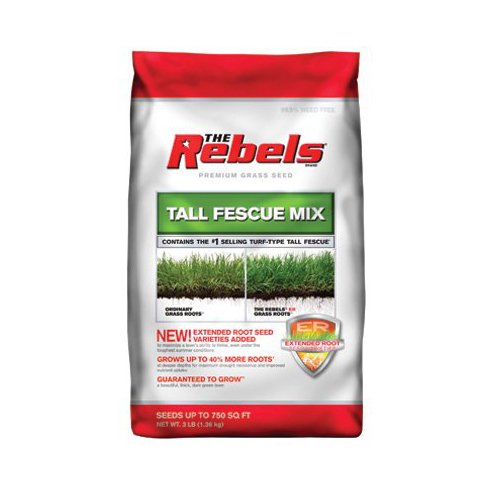 Pennington 100081768 The Rebels Tall Fescue Grass Seed 3-pound
