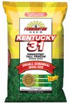 Pennington Kentucky 31 Tall Fescue Penkoted Powder Coated 25 Lb