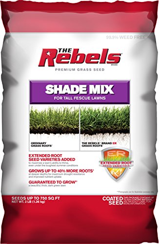 Pennington Rebel Shade Tall Fescue Mix Powder Coated Seed 3 lb
